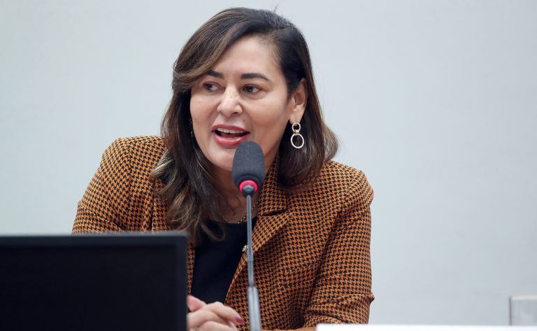 Dilvanda Faro: comissão representa possibilidade de se construir um Brasil para todos. Foto: Bruno Spada/Câmara dos Deputados